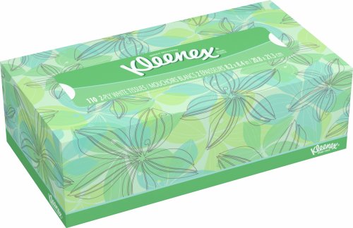 Tissue Box Daffodil